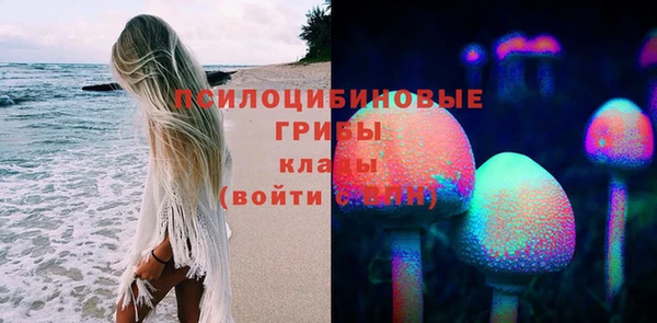 шишки Богданович